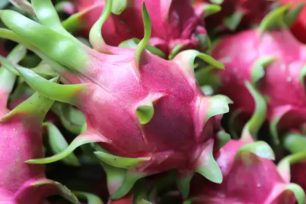 Vietnamese White Flesh Dragon Fruit